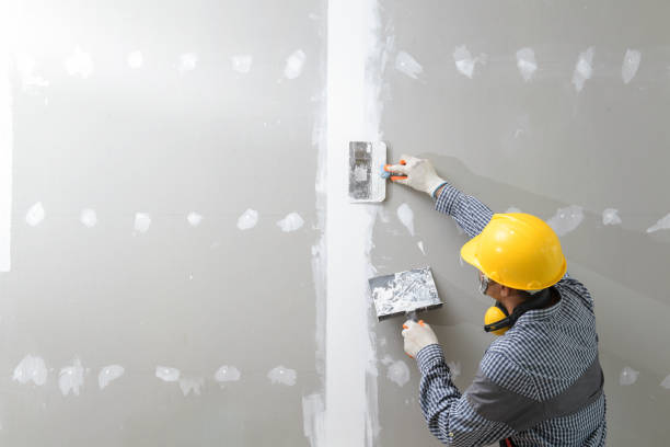 Best Forensic Mold Investigation  in Haslet, TX