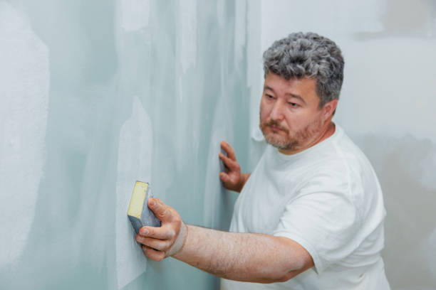 Best Basement Mold Removal  in Haslet, TX