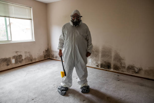 Best Residential Mold Inspection & Testing  in Haslet, TX